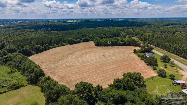 2732 Hwy 4 property photo