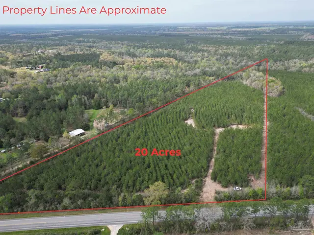1000 BLK Hwy 97, Molino FL 32577 exterior