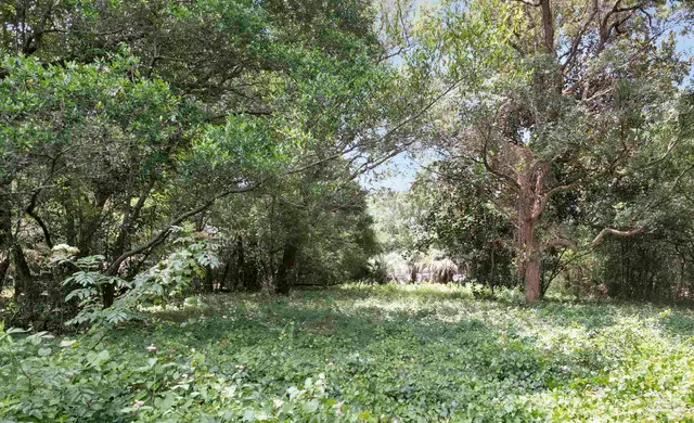 1512 Burgess Rd property photo