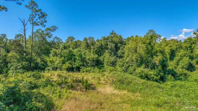 7349 Johnson Rd property photo