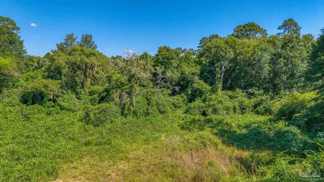 7349 Johnson Rd property photo