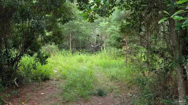 9791 Domino Rd property photo