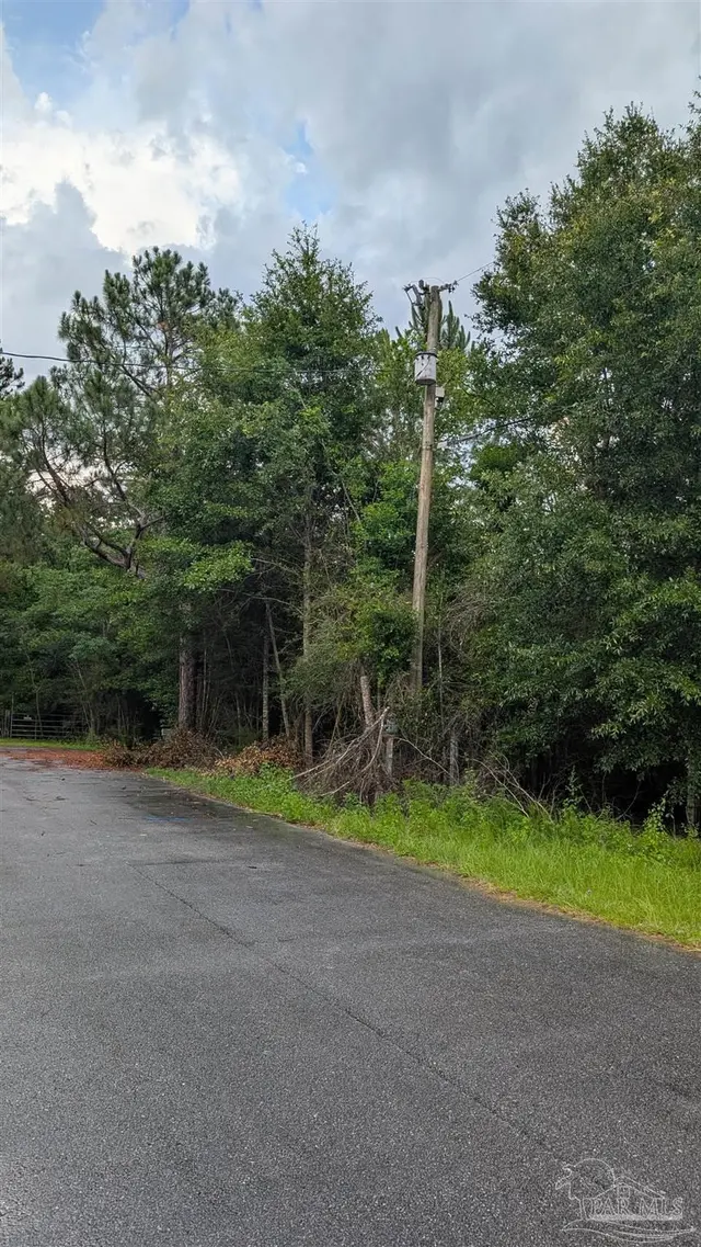 9791 Domino Rd property photo