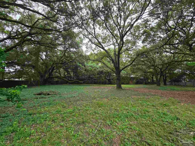 4045 Audubon Dr property photo