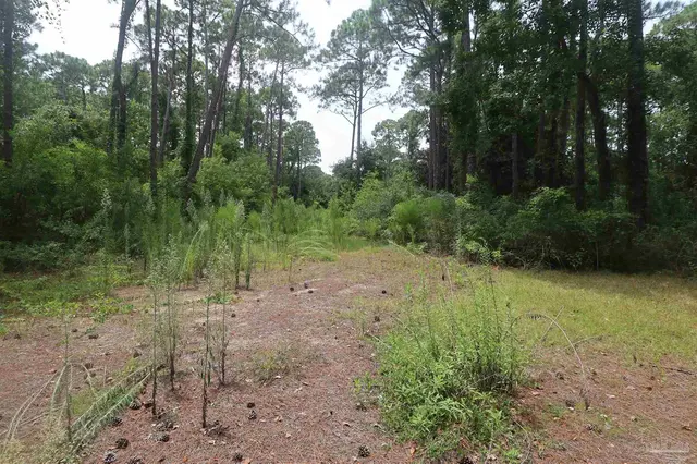 1481 Ocean Breeze Ln property photo