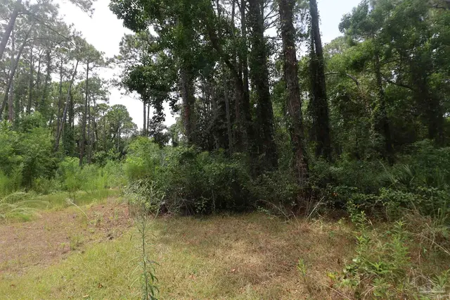 1481 Ocean Breeze Ln property photo