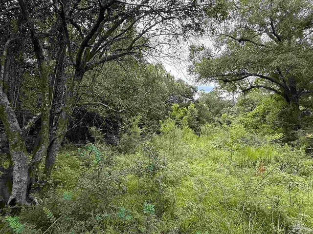 5007 Lillian Hwy property photo