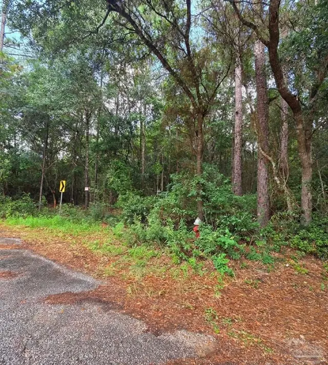 2.279 AC Woodridge Dr property photo
