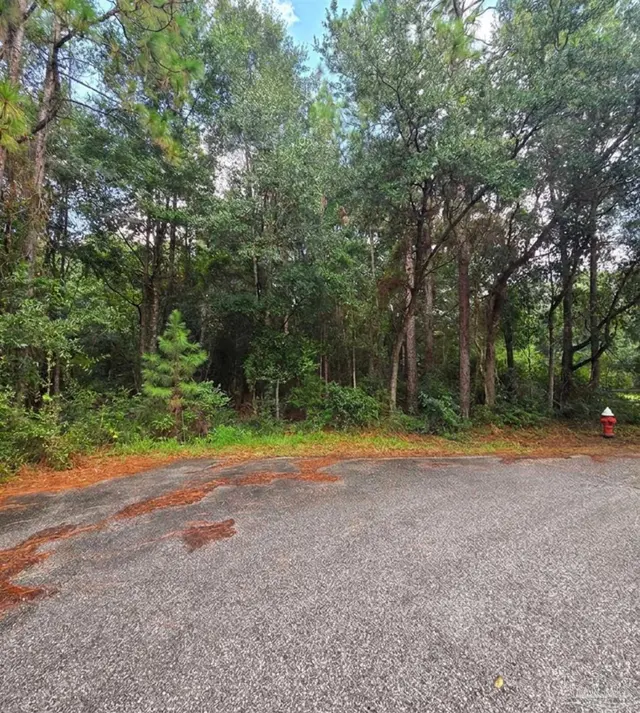 2.279 AC Woodridge Dr, Milton FL 32570 exterior