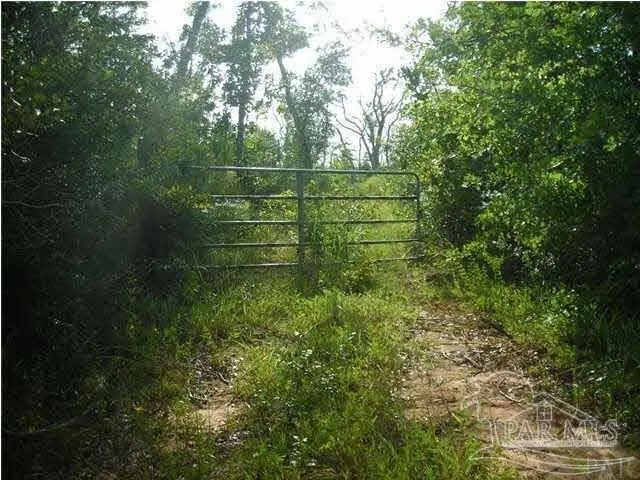 1815 Collinsworth Rd property photo