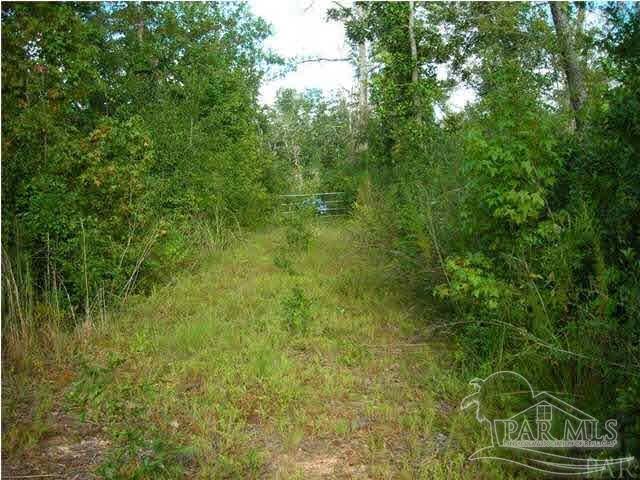 1815 Collinsworth Rd property photo