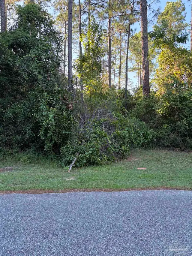 311 Deerfoot Ln, Cantonment FL 32533 exterior