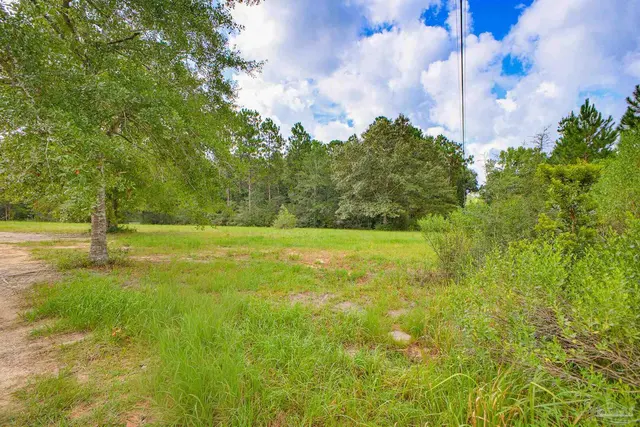 9550 Magnolia Springs Rd property photo