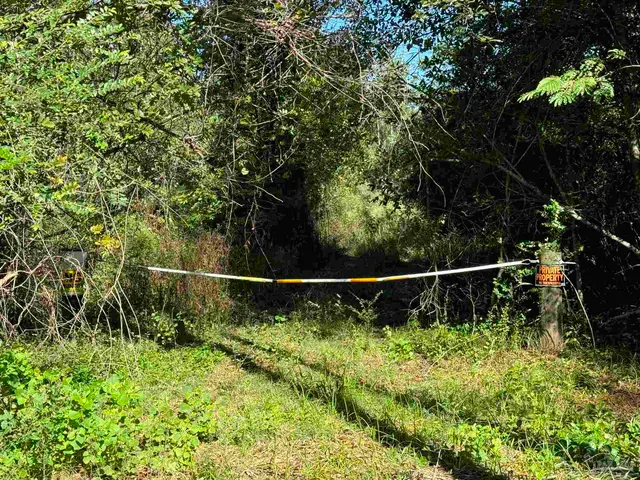 0 Pleasant Hill Rd property photo