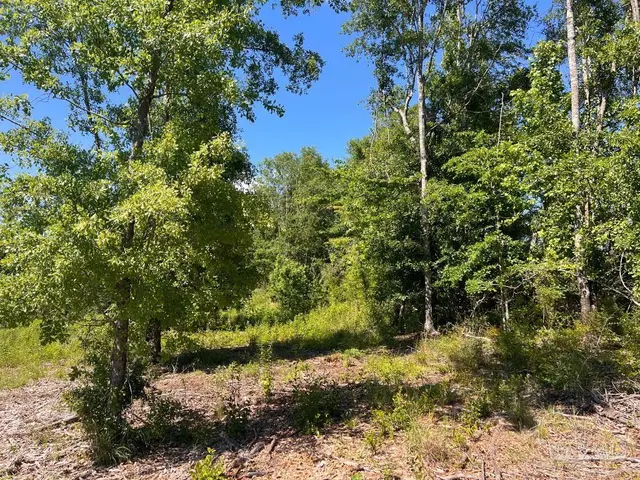 Lot 14-C Hwy 29 property photo