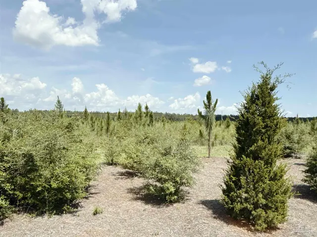 Lot 57 South Timber Ln property photo
