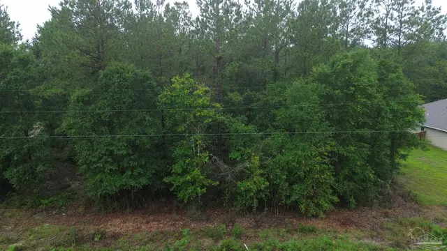 Lot 86 Pineview Church Rd property photo