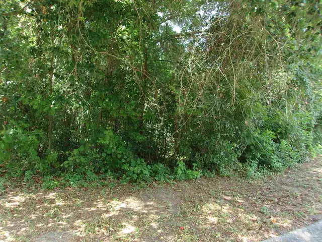6001 Toulouse Dr property photo
