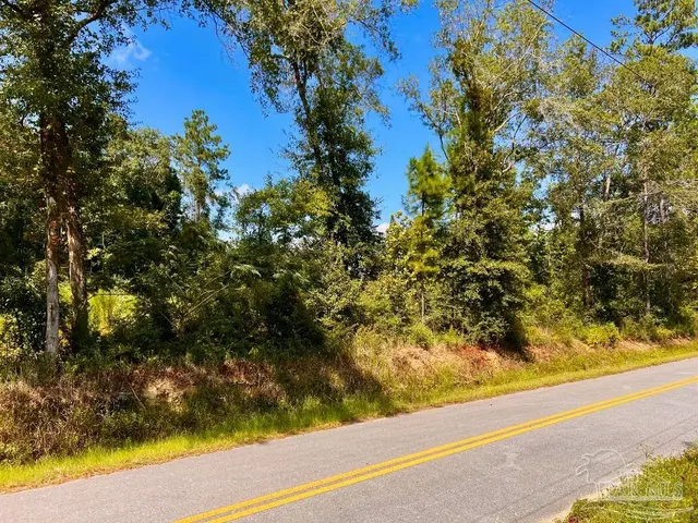 Lot 6C Cotton Lake Rd property photo