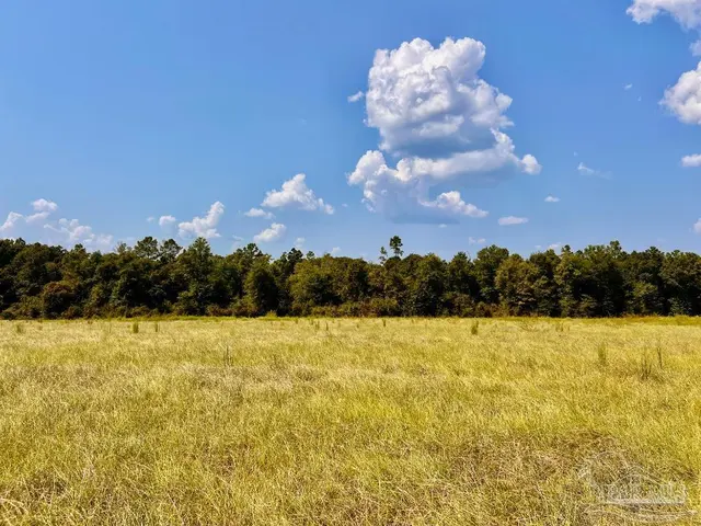 Lot 26 Morgans Branch property photo