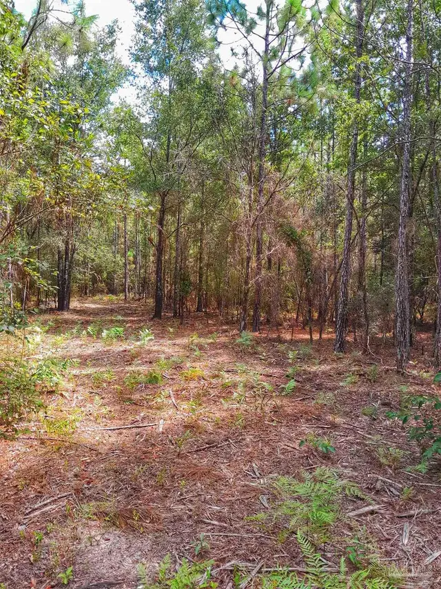Parcel C-2 Wildlife Rd property photo