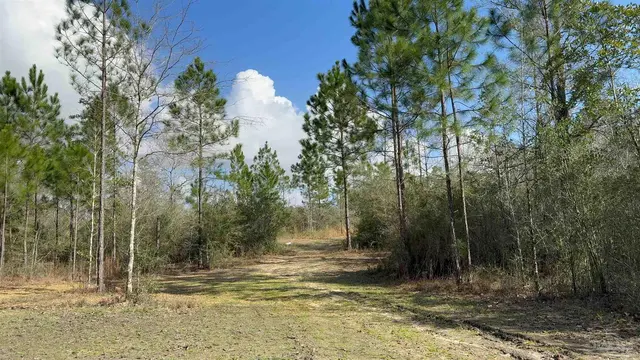 00 Native Creek Rd property photo