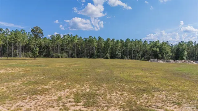 7047 Hidden Forest Trail property photo