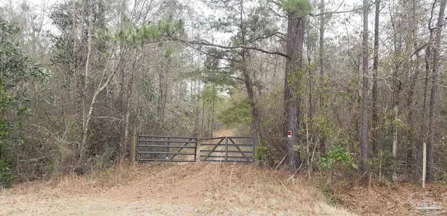 2200 Fannie Rd property photo