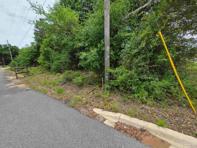 2400 BLK Longleaf Dr property photo