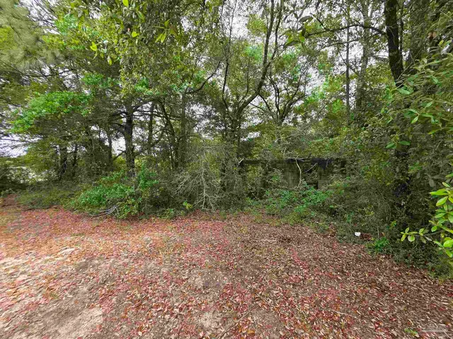 2400 BLK Longleaf Dr property photo