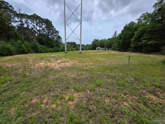 2400 BLK Longleaf Dr property photo