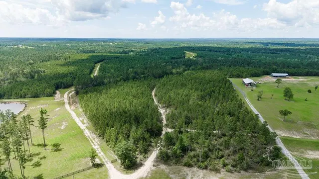 30 Acres Treetop Ridge Dr property photo