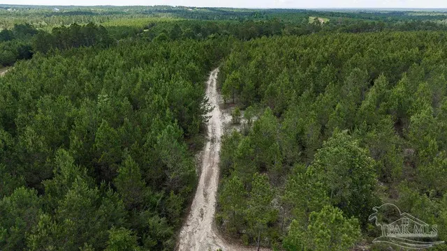 30 Acres Treetop Ridge Dr property photo
