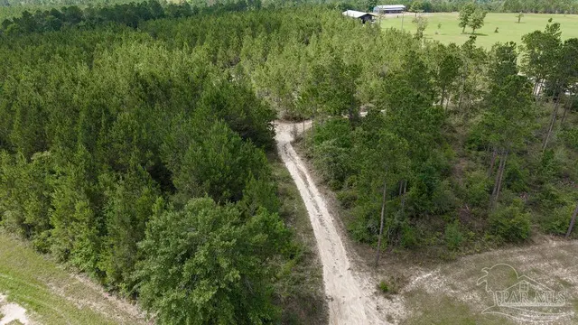 30 Acres Treetop Ridge Dr property photo