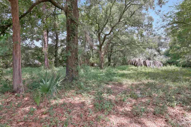 1512 Burgess Rd property photo
