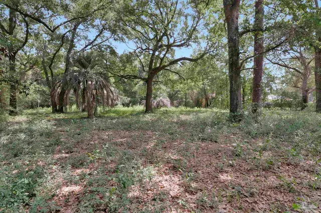 1512 Burgess Rd property photo