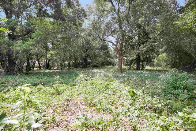 1512 Burgess Rd property photo