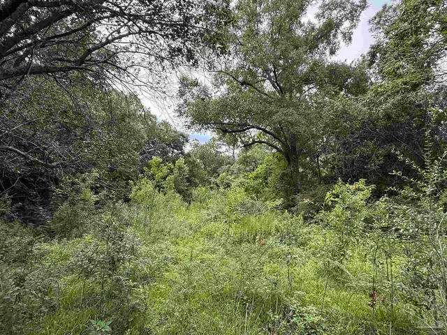 5007 Lillian Hwy property photo