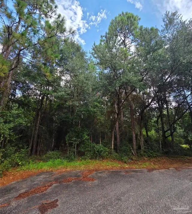 2.279 AC Woodridge Dr property photo