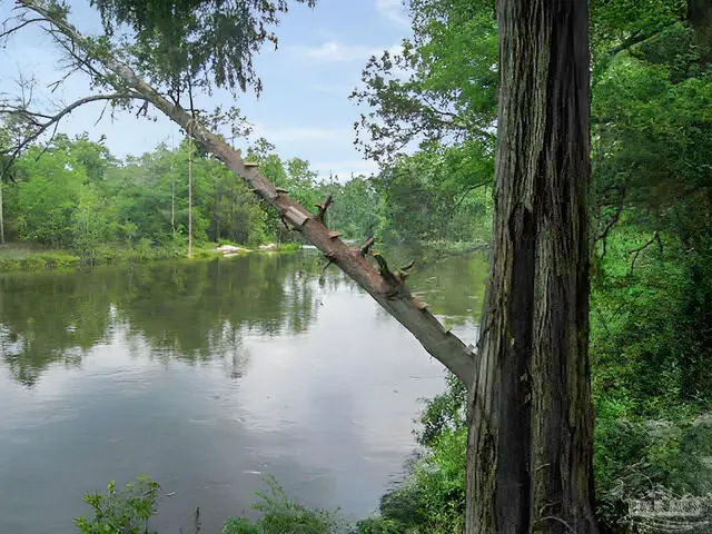 285 River Annex Rd property photo