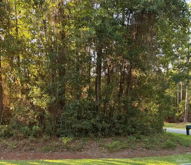 301 Deerfoot Ln property photo