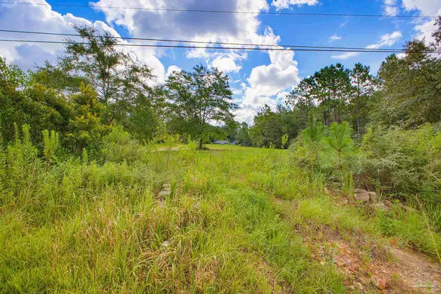 9550 Magnolia Springs Rd property photo
